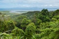 Daintree National Park Royalty Free Stock Photo