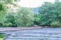 The Daio Wasabi Farm is one of Japan`s largest wasabi farms in Royalty Free Stock Photo