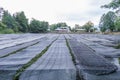 The Daio Wasabi Farm is one of Japan`s largest wasabi farms in Royalty Free Stock Photo