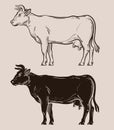 Dairy cow vector logo. farm, livestock, milk icon