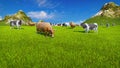 Dairy cows on alpine pasture Close up