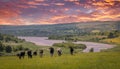 Dairy Cows and Castle Semple Loch in Scotland, A mixture of farming Country Views and a dramamtic sunset over the hills