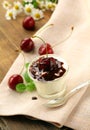 Dairy dessert with cherries