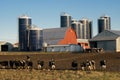 Dairy farm Royalty Free Stock Photo