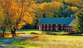 Dairy barn and Fall color sugar maple trees Royalty Free Stock Photo