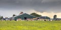 Dairy farm on dutch countryside