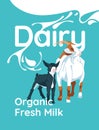Dairy farm poster, goat, lamb and splash of milk on large text background. Royalty Free Stock Photo