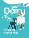 Dairy farm poster, goat, lamb and splash of milk on large text background.