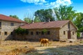 Dairy farm Royalty Free Stock Photo