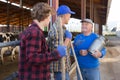 Dairy farmers having conversation in cowshed Royalty Free Stock Photo