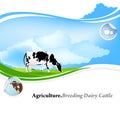 Dairy Farming