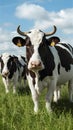 Dairy farming Milking equipment and farmed milk
