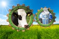 Dairy Industry - Gears in Countryside Royalty Free Stock Photo