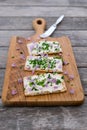 Dairy and lactose-free vegan cream cheese spread made from cashew and macadamia nuts on crackers with knife, fresh chopped chives Royalty Free Stock Photo