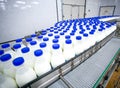 Dairy plant, conveyor with milk bottles