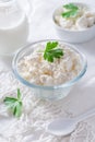 Dairy product - curd or cottage cheese, quark in bowl and milk Royalty Free Stock Photo