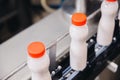 Dairy production, bottle of yoghurt on automated conveyor line, process of milk filling and packaging