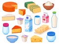 Dairy products. Cheese slices, milk in bottle, box and glass, yoghurt, butter, curd in bowl and cream. Cartoon farm