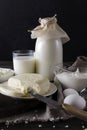 Dairy products on a dark background, a glass and a bottle of cow`s milk, cottage cheese, cheese, sour cream, white raw eggs Royalty Free Stock Photo