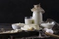 Dairy products on a dark background, a glass and a bottle of milk, cottage cheese, cheese, sour cream, eggs Royalty Free Stock Photo