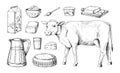 Dairy products. Hand drawn milk in bottle and cow. Farm yogurt in jug and jars. Organic butter and kefir glass. Cottage