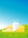 Dairy products lying on green grass - vector