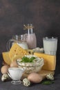 Dairy products, Milk, Yogurt, Ayran, Sour Cream, Several types of Cheese, Cottage Cheese, Chicken and Quail Eggs