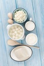 Dairy products. Sour cream, milk, cheese, egg, yogurt and butter Royalty Free Stock Photo