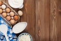 Dairy products. Sour cream, milk, cheese, egg, yogurt and butter Royalty Free Stock Photo