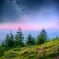 Dairy Star Trek in the woods. Dramatic and picturesque scene. Fantastic starry sky and the milky way Royalty Free Stock Photo