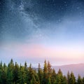 Dairy Star Trek in the woods. Dramatic and picturesque scene. Fantastic starry sky and the milky way Royalty Free Stock Photo