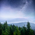 Dairy Star Trek in the woods. Dramatic and picturesque scene. Fantastic starry sky and the milky way Royalty Free Stock Photo