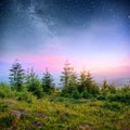 Dairy Star Trek in the woods. Dramatic and picturesque scene. Fantastic starry sky and the milky way Royalty Free Stock Photo