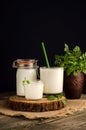 Dairy starter culture for the preparation of fermented milk products, yogurt, kefir with a copy space on a wooden cut