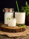 Dairy starter culture for the preparation of fermented milk products, yogurt, kefir in a glass on a wooden cut