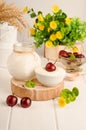 Dairy starter culture for the preparation of fermented milk products, yogurt, kefir on a white wooden background