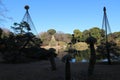 Daisensui Pond and Yukitsuri (snow hanging) in Rikugien Garden, Tokyo, Japan Royalty Free Stock Photo