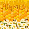 Daisies on a background of honeycombs.