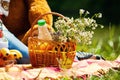 Daisies in a basket on a picnic,Wild flowers in the basket Royalty Free Stock Photo