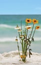 Daisies on the Beach