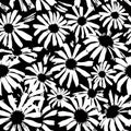 Daisies black and white pattern. Seamless floral pattern with daisy flowers. Simple floral background. Wildflower Royalty Free Stock Photo