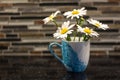 Daisies in a blue mug Royalty Free Stock Photo