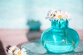 Daisies in a blue vase, chamomile Royalty Free Stock Photo