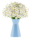 Daisies in blue vase isolated on white Royalty Free Stock Photo