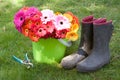 Daisies, boots, & secateurs - yard work Royalty Free Stock Photo