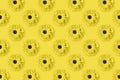 Daisies, chamomile or gerbera flower pattern on Illuminating yellow background. Pop art design, creative unique concept