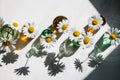 Daisies in different glass vases on a white background