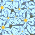 Daisies, flowers on blue background