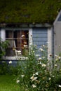 Daisies and moss roof barn Royalty Free Stock Photo
