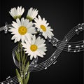 Daisies with music notes.